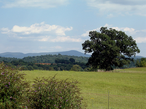 Blue Ridge Mts.