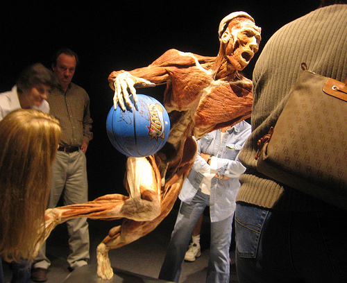 Bodies - Ball player