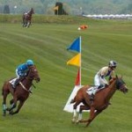 The 82nd Virginia Gold Cup
