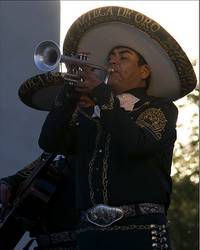 Trumpet Player