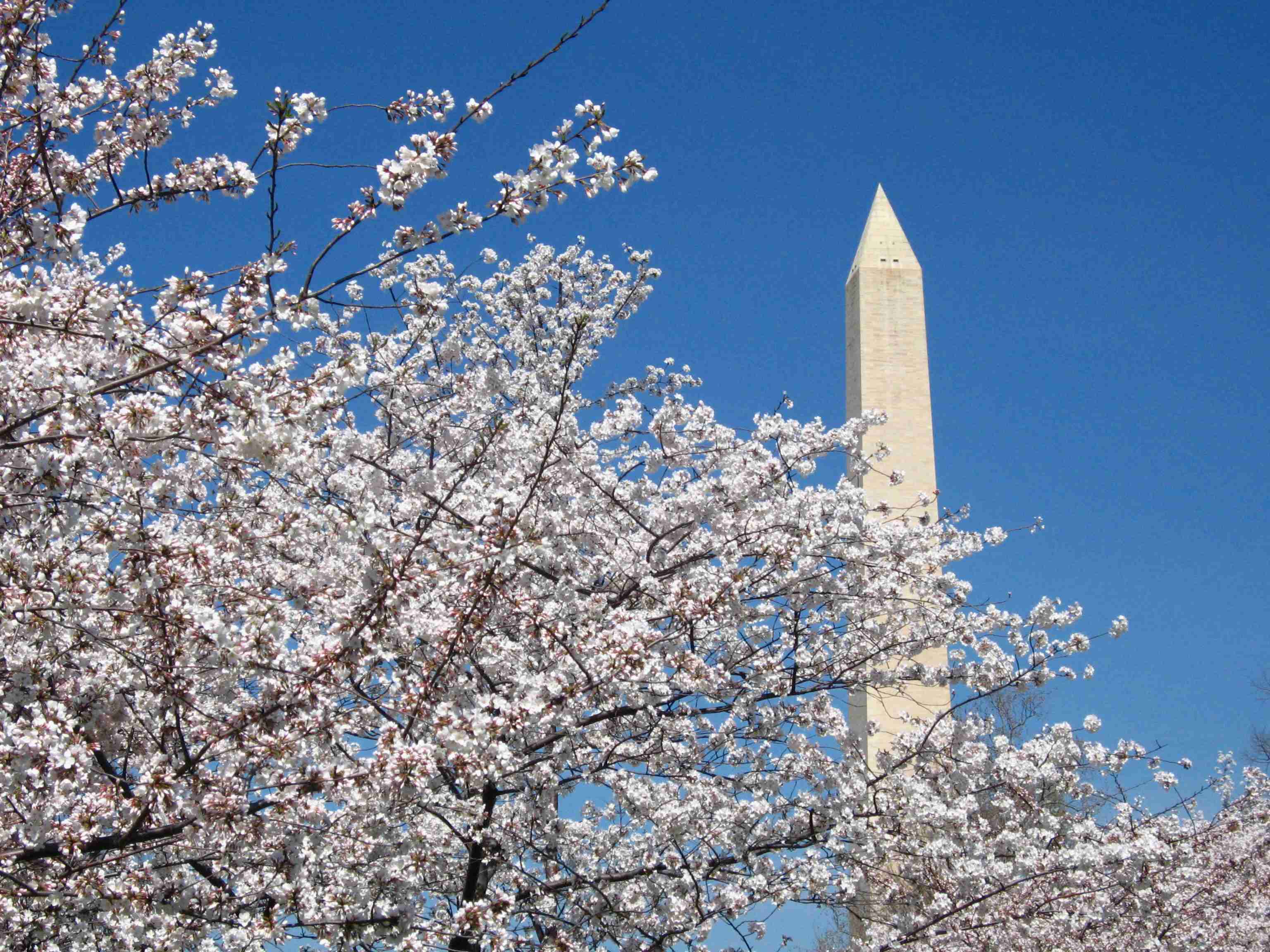 Washington Monument