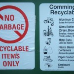 Green Festival – Save the Environment