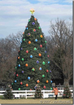 National Christmas Tree 2006