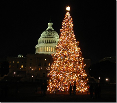 National Christmas Tree and the Capitol