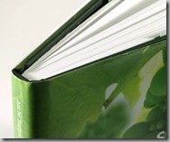 Blurb Binding and Dust Cover