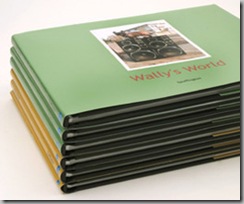 Blurb stact of books
