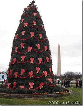 The 2007 National Christmas Tree