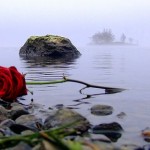 A Valentine’s Day Rendez-Vous
