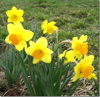 A Sign of Spring