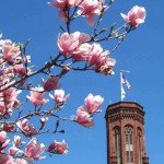 Photo of the Week