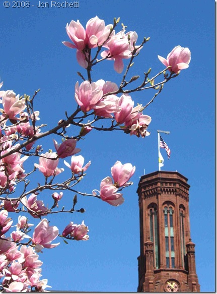 Washinton, DC - Spring Blossoms at the Smithsonian Castle- sm