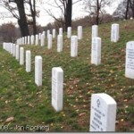 Thank a Veteran Today