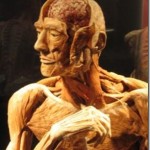 Body Worlds in Baltimore Closing Sept. 1st