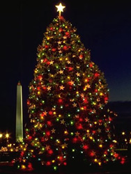 National Christmas Tree Lighting 