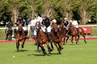Polo competition - ©Sandrine Boyer