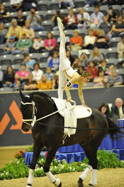 Give Vaulting a whirl !