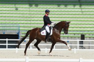 Gareth Hughes (GBR) - Dressage Test Events - 23 June 2014 - ©PSV Photos
