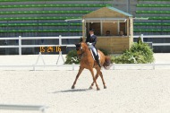 Julia Chevanne and Luciano 182 - 2014 Test Events - 23 June - ©PSV Photos