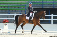Carl Hester - Grand Prix Special - Test Events - 24 June 2014 - ©PSV Photos