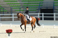 Alizée FROMENT and EHRENDORF - Grand Prix Special - Epreuves Préparatoires 2014 - 23 juin - ©PSV Photos