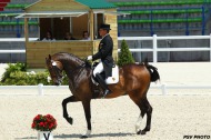DIAVOLO II DE LAUBRY - BELMONTE CRISTOBAL- Grand Prix Freestyle - 2014 Test Events - 24 June - ©PSV Photos