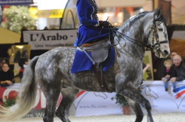 Side saddle riding 