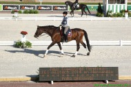 Para dressage training - August 23rd - ©PSV Photos