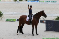 Dressage - ©PSV Photos