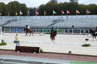 Para dressage training - August 24th - ©PSV Photos