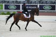 Para-Dressage - Vladimir VINCHON - ©PSV Photos