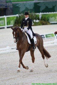 Dressage 26th August - ©PSV Photos