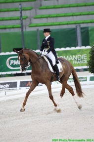 Dressage 26th August - ©PSV Photos