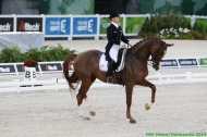 Dressage 26th August - ©PSV Photos