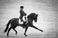 Dressage - Grand Prix - August 26th - ©Sindy Thomas