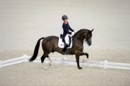 Dressage - Grand Prix - August 26th - ©Sindy Thomas