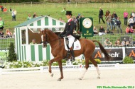 Eventing Dressage - William Fox-Pitt - Chilli Morning - GBR - ©PSV Photos