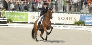 Maxime Livio - Dressage - 29 août 2014 - ©PSV Photos