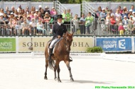Denis Mesples and Orégon de la Vigne - ©PSV Photos