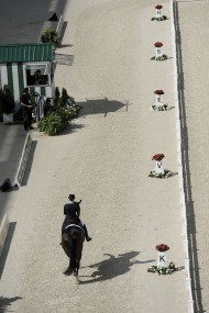 Dressage Grand Prix Freestyle - ©Sindy Thomas