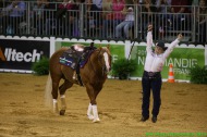 Reining - August 30th - ©PSV Photos