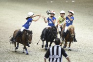 Shetland and Horse ball / 30 August 2014 - ©Sindy Thomas