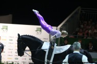 10 - Joanne ECCLES - W H Bentley - ECCLES - Women's Individual Freestyle - ©CO Normandie 2014/PSV