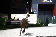 25 - Manon NOEL - Kirch de la love - MONEUSE - Women's Individual Freestyle - ©CO Normandie 2014/PSV