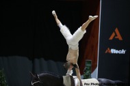 45 - Jacques FERRARI - Poivre Vert - ATHIMON - Men's Individual Freestyle - ©CO Normandie 2014/PSV