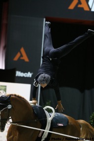 40 - Nicolas ANDREANI - Just A Kiss HN - JOOSTEN DUPON- Men's Individual Freestyle - ©CO Normandie 2014/PSV
