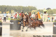 Driving - Marathon - ©PSV Photos