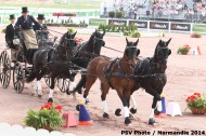 701 - Boyd Exell - AUS- Cones Driving  - ©CO Normandie 2014/PSV